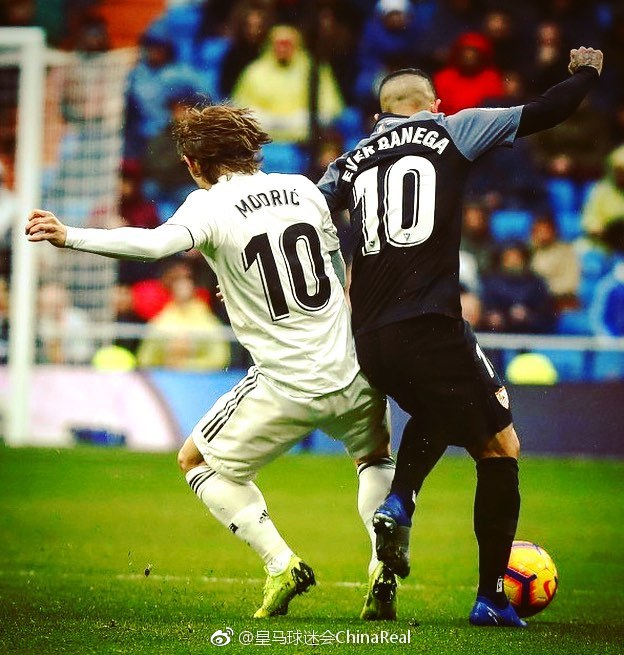 第二条小龙 第二条小龙